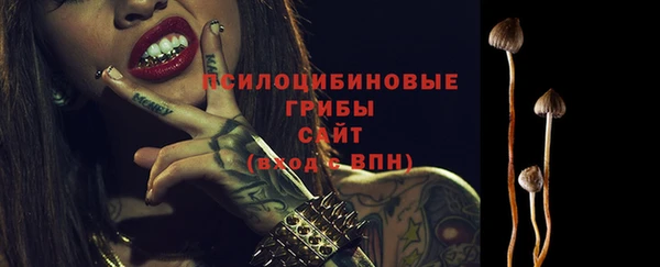 ГАЛЛЮЦИНОГЕННЫЕ ГРИБЫ Алзамай
