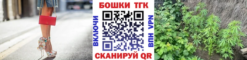 Шишки марихуана White Widow  гидра как войти  Злынка 